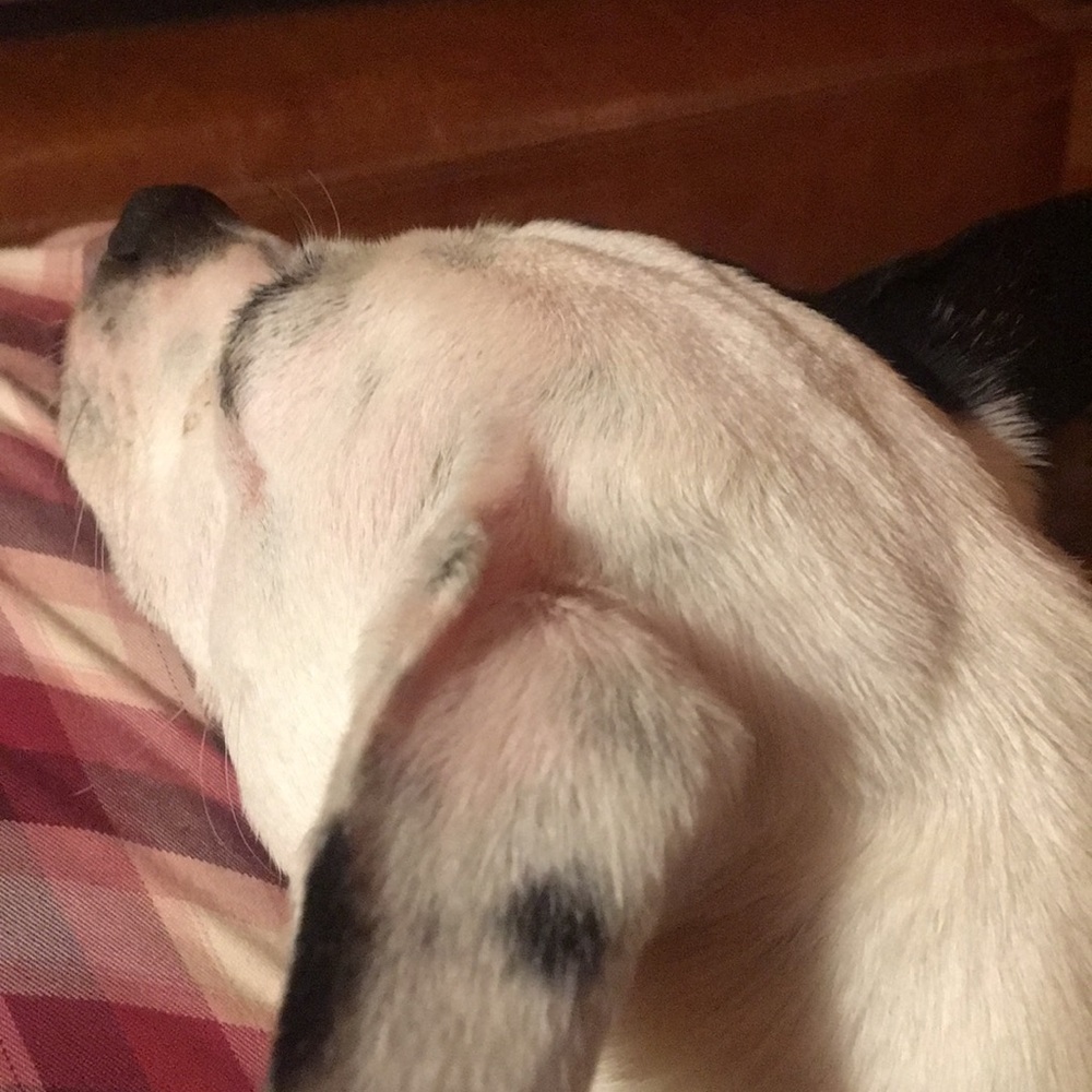 Meet your Posher, Colleen